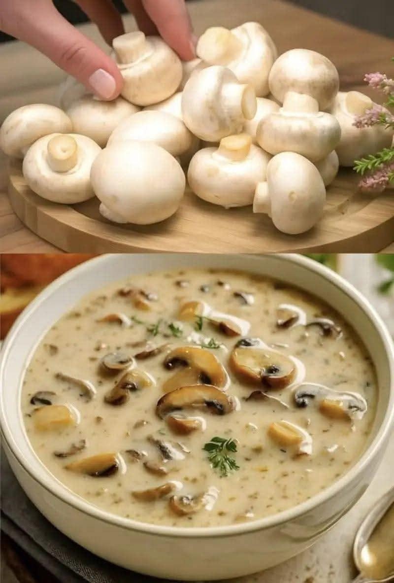 Creamy Mushroom Soup
