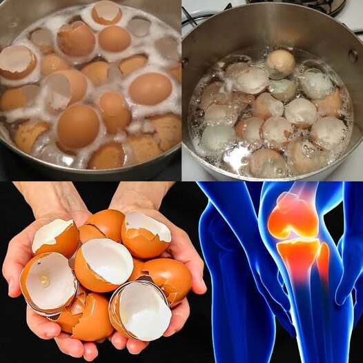 boiling eggshells and using them for joint or bone health. The idea comes from the fact that eggshells are mostly calcium carbonate, which contains calcium.